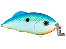 Strike King Hybrid Hunter Shallow Crankbaits