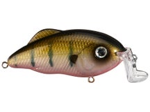 Strike King Hybrid Hunter Shallow Jr. Crankbaits