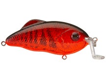 Strike King Salt Water Hybrid Hunter Jr. Crankbaits 