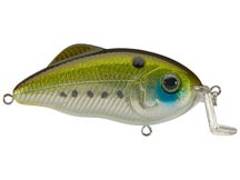 Strike King Salt Water Hybrid Hunter Jr. Crankbaits 