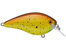 SK KVD 1.5 Hard Knock Bully