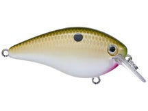 Strike King KVD 1.5 Hard Knock Squarebill Crankbait