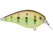 Strike King KVD 1.5 Hard Knock Squarebill Crankbait