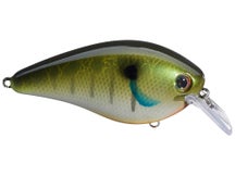 Strike King KVD Elite 4.0 Squarebill Crankbaits 