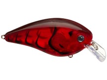 Strike King KVD Elite 2.5 Squarebill Crankbaits 