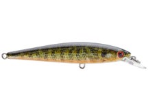 Strike King KVD 100 Jerkbait