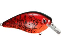 Strike King KVD HC 2.5 Crank Chili Craw 