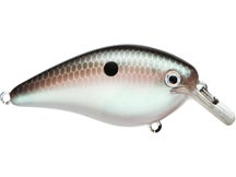 Strike King KVD 2.5 HC Squarebill Silent Crankbait 
