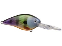 Strike King KVD HC Flat Side 1.5 Crankbait 