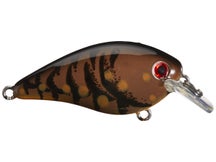 Strike King KVD 1.5 HC Crank Brown Craw 