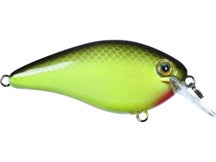 Strike King KVD 1.5 HC Crank KVD Cataouatche Spec 