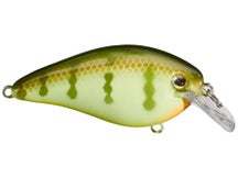 Strike King KVD 1.5 HC Squarebill Silent Crankbait 