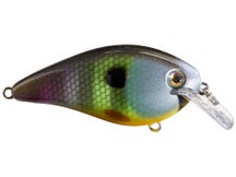 Strike King KVD 1.5 HC Squarebill Silent Crankbait 