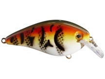 Strike King KVD 1.5 HC Squarebill Silent Crankbait 