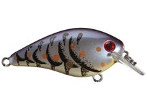 Strike King KVD 1.5 HC Squarebill Silent Crankbait 