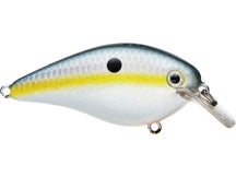 Strike King KVD 1.5 HC Crank Sexy Shad 