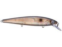 Strike King KVD 300 Jerkbait