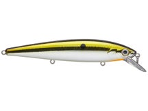Strike King KVD 300 Jerkbait