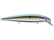 Strike King KVD 300 Jerkbait