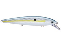 Strike King KVD 300 Jerkbait