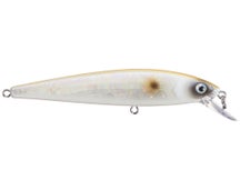 Strike King KVD 200 Jerkbait