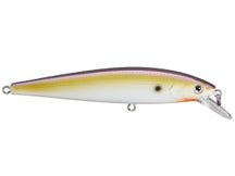 Strike King KVD 200 Jerkbait