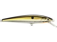 Strike King KVD 200 Jerkbait