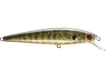 Strike King KVD 200 Jerkbait