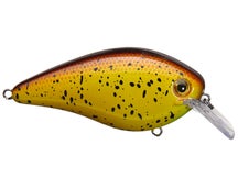 Strike King KVD 4.0 Magnum Squarebill Crankbaits 