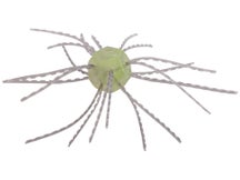 Strike King Mag Tumbleweed Floating