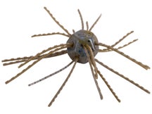 Strike King Mag Tumbleweed Floating