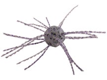 Strike King Mag Tumbleweed Salted