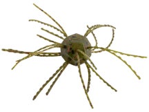 Strike King Mag Tumbleweed Salted