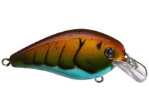 Strike King KVD 1.0 HC Crank Table Rock Craw