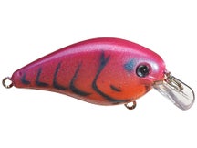 Strike King KVD 1.0 HC Squarebill Silent Crankbait 