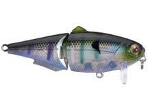 Strike King Wake Shad 2.0 Wakebait 