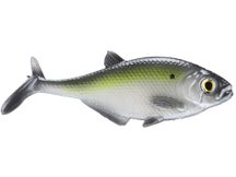 Smash-Tech Baits Gizzard Shad Weedless Swimbaits