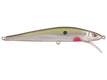 SPRO Mike McClelland McStick 95 Jerkbait