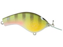 Shimano Macbeth Flat Bluegill