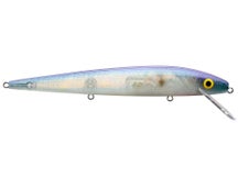 Smithwick Perfect 10 Rogue FX Oil Blue