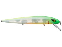 Smithwick Perfect 10 Rogue Jerkbait