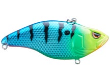 Spro Aruku Shad 75 Blue Perch