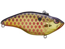 Spro Aruku Shad 75 Golden Dragon