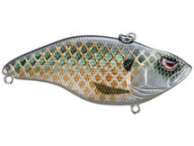 SPRO Essential Series Aruku Shad Lipless Crankbait