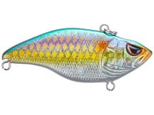 SPRO Essential Series Aruku Shad Jr. Lipless Crankbait