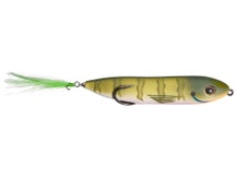 Snag Proof Zoo Dog Dark Gill