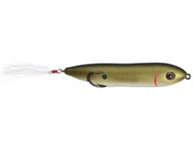 Snag Proof Zoo Dog Tennesse Shad