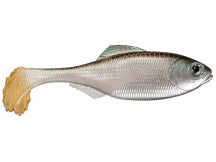 6th Sense Masterclass Panorama Swimbait