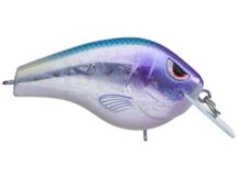 SPRO Russ Lane Fat Papa 70 Squarebill Crankbait