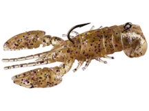 Storm Surge Craw Sandy Craw